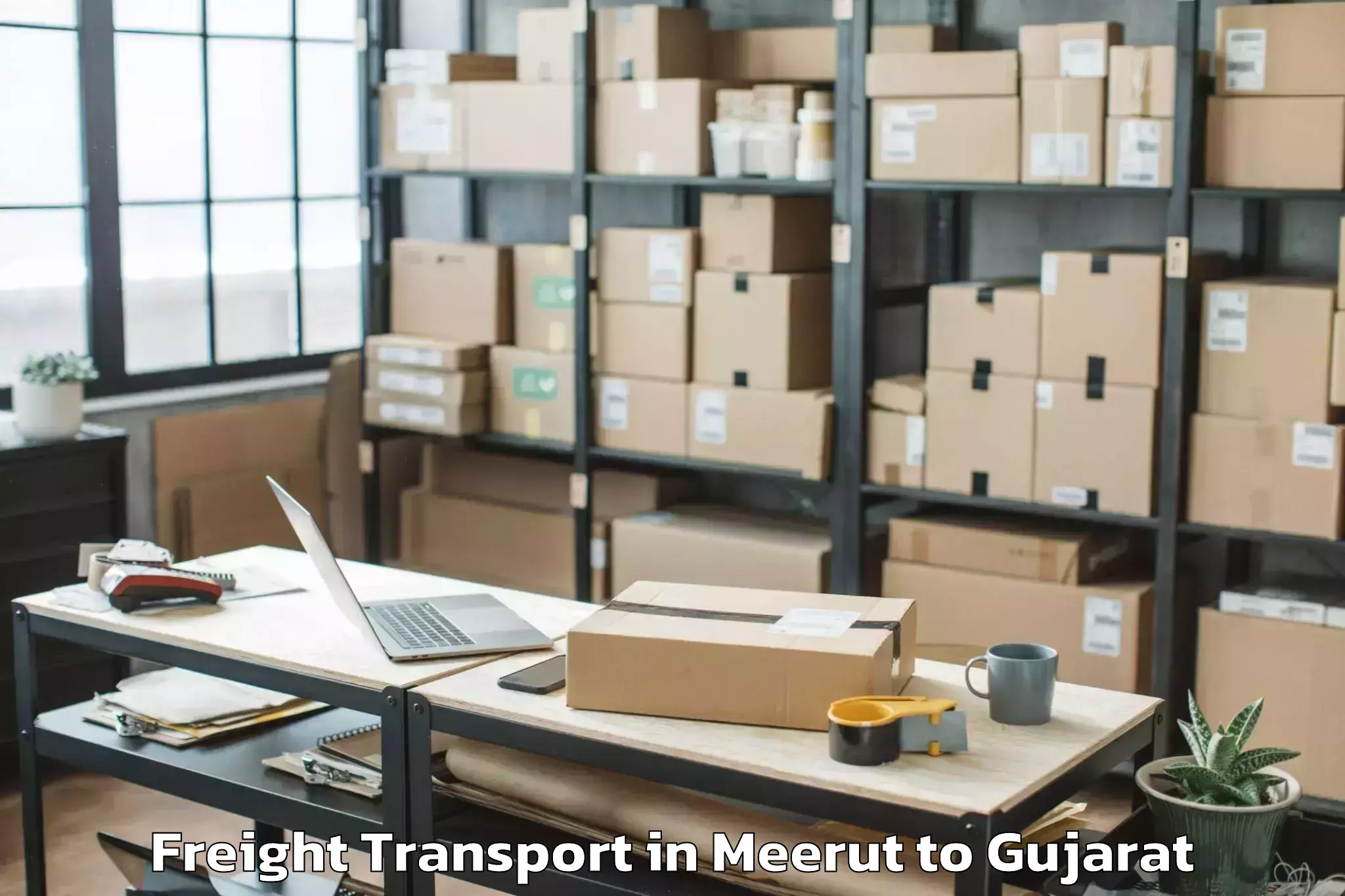 Book Meerut to Vansda Freight Transport Online